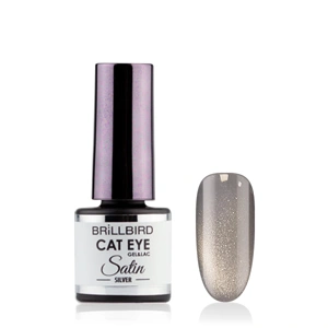 HEMA Free CAT EYE SATIN - Silver 4ml főképe